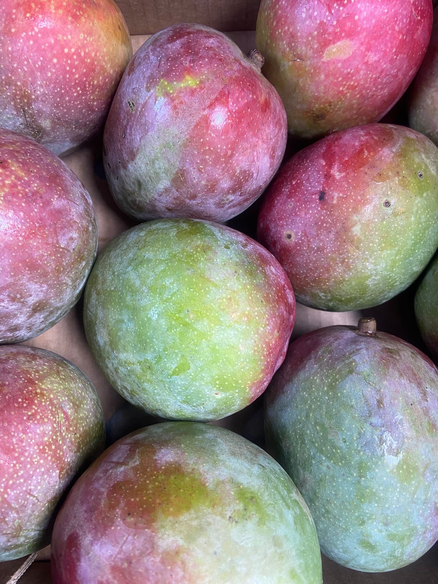 Mango's - Ca. 12 stuks