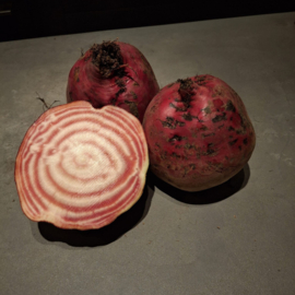Chioggia bieten XL – Biologisch geteeld ca. 10kg