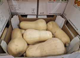 12-14 Flespompoenen - Ca. 10 Kg