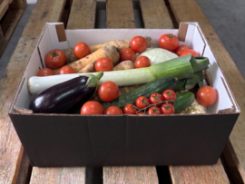 XL seizoensgroentenbox | 9 kg