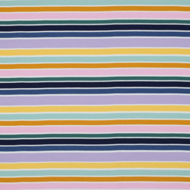 Tricot stripes multicolour