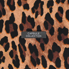 KATM Labels 'Capsule collection'