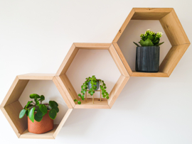 Eikenhouten Hexagons met kunstgroen achterwand