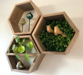 Amerikaans notenhouten hexagons