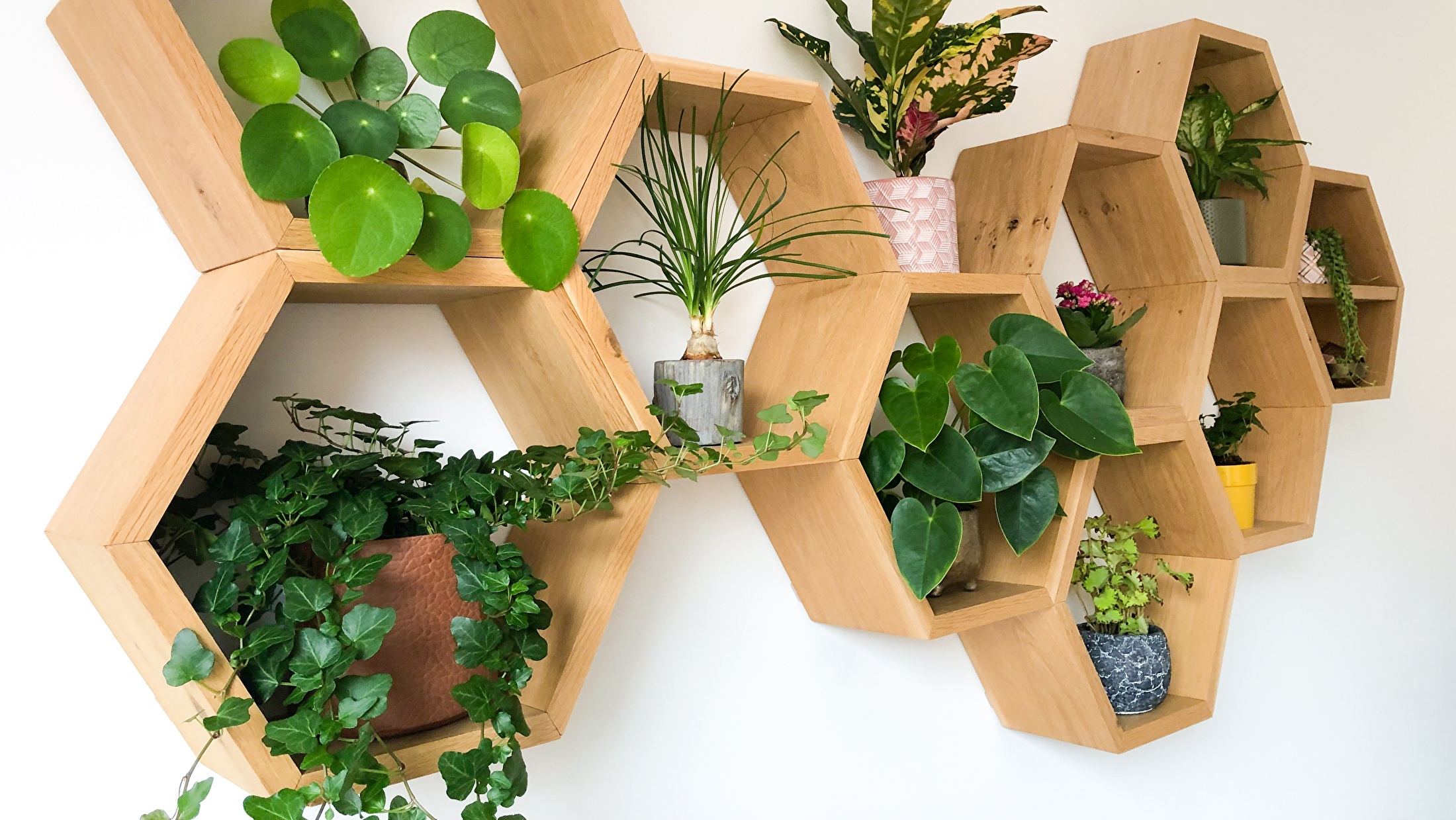 9 hexagons bijgesneden