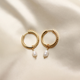 mia earrings ♡  gold pearl