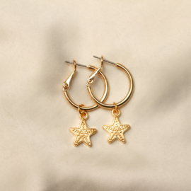 Lena earrings ☆ star gold