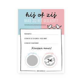 Kraskaart hij of zij | gender reveal | 10 stuks