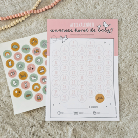 Zwangerschap aftelkalender | roze | incl. stickers