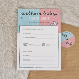 babyshower invulkaarten blauw/roze | 20 stuks