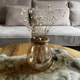 Glazen deco vaas incl. deksel