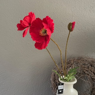 Papaver Rood (klaproos) 76cm