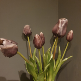 Tulpen classic vintage purple-grey  ( 7 stelen)