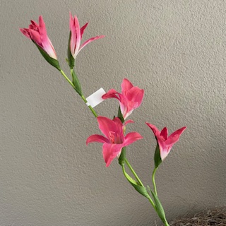 Gladiool roze 92 cm