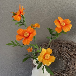 Tagetes 72cm
