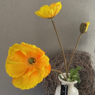 Papaver Geel (klaproos) 76cm