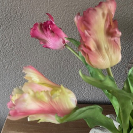 Boeket Parkiet tulp roze 6 stelen