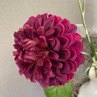 Dahlia Burgundy 60 cm