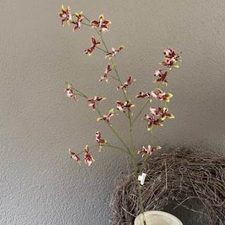 Orchidee dancing 94 cm