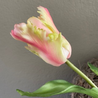 Parkiet tulp 52 cm licht roze
