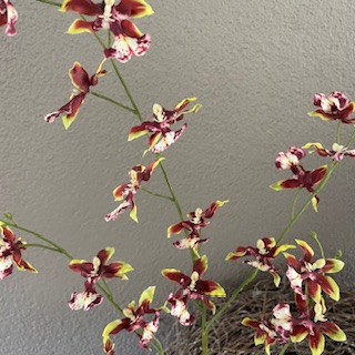 Orchidee dancing 94 cm