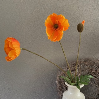 papaver oranje (klaproos) 76cm
