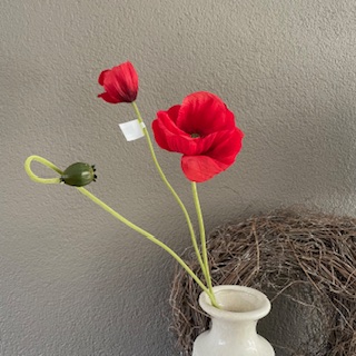 papaver (klaproos) 74cm