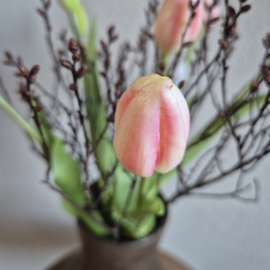 Tulpen Sweet pink (boeket 7 lange stelen)