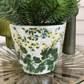 Set “ Green”