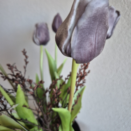 Tulpen classic vintage purple-grey  ( 7 stelen)