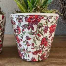 Set 2 potjes van steen rood in/excl. plant