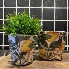 Pot fleurig "palm" steen hoogte 13 cm