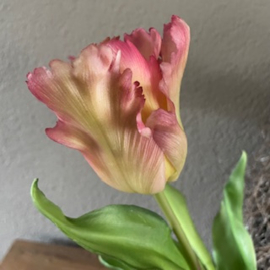 Boeket Parkiet tulp roze 6 stelen