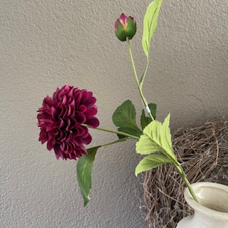 Dahlia Burgundy 60 cm