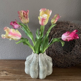 Boeket Parkiet tulp roze 6 stelen