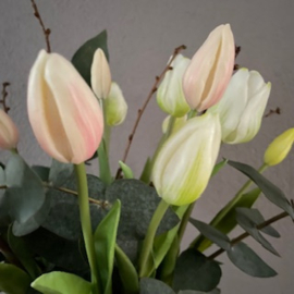 Tulpenboeket mix white/zalm(14 stelen)