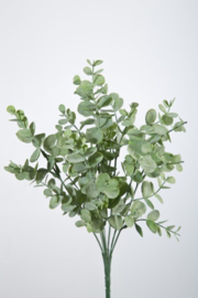 Eucalyptus op steel 33cm