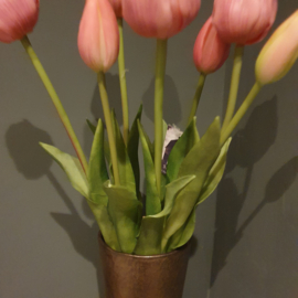 Tulpen classic vintage pink (boeket 7 lange stelen)