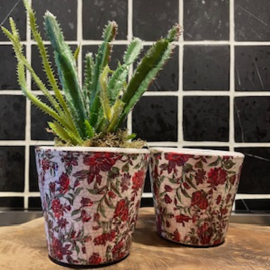 Set 2 potjes van steen rood in/excl. plant