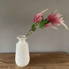 Astilbe (spirea) roze