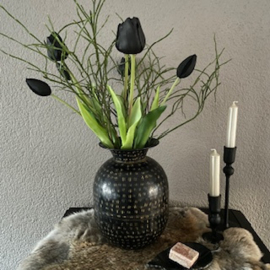 Tulpen Black  (boeket 7 lange stelen)