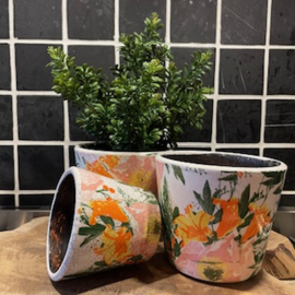 Potjes fleurig "oranje" steen  middel hoogte 10cm
