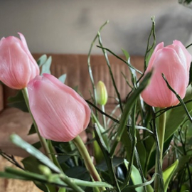 Tulpen soft Pink   (boeket 7 lange stelen)