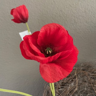 papaver (klaproos) 74cm
