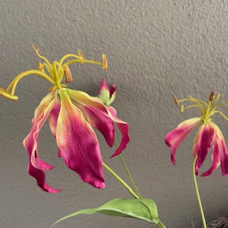 Gloriosa 82 cm