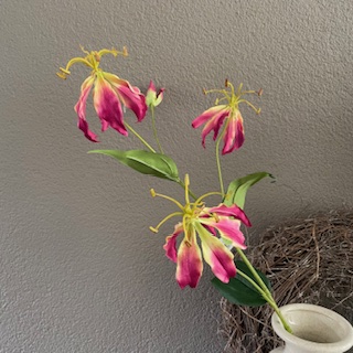 Gloriosa 82 cm