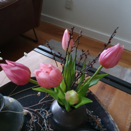 Tulpen Roze laag 25cm 5 stelen