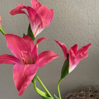 Gladiool roze 92 cm