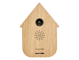 PT sound box modern cuckoo light wood