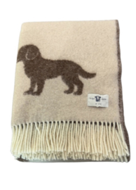 Bel-po PUPPY’S DARK BROWN/CREAM plaid 100%